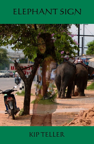 Elephant Sign
