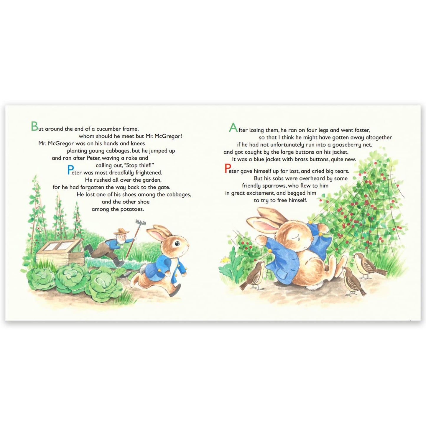 The Tale of Peter Rabbit - Kids Books - Childrens Books - Toddler Books by Page Publications