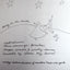 Living on the Earth: Celebrations, Storm Warnings, Formulas