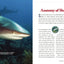 The Shark Handbook: Second Edition: The Essential Guide for Understanding the Sharks of the World