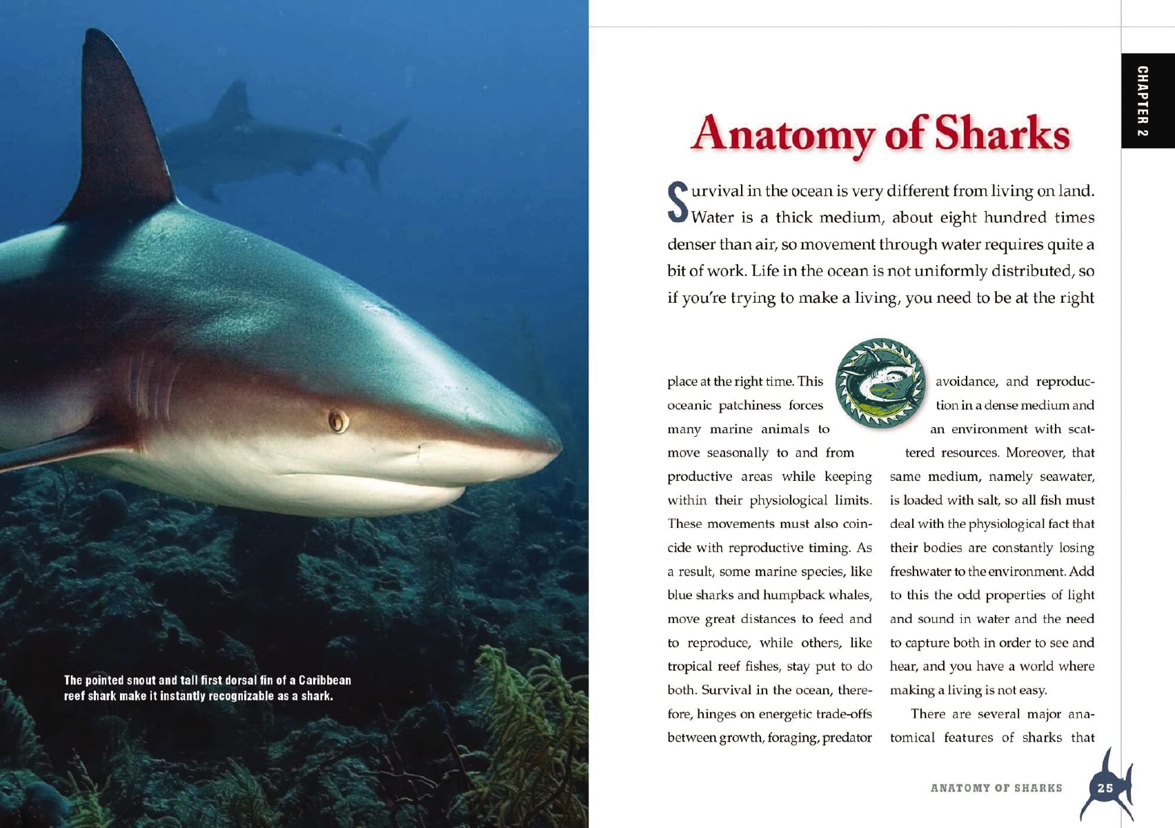 The Shark Handbook: Second Edition: The Essential Guide for Understanding the Sharks of the World