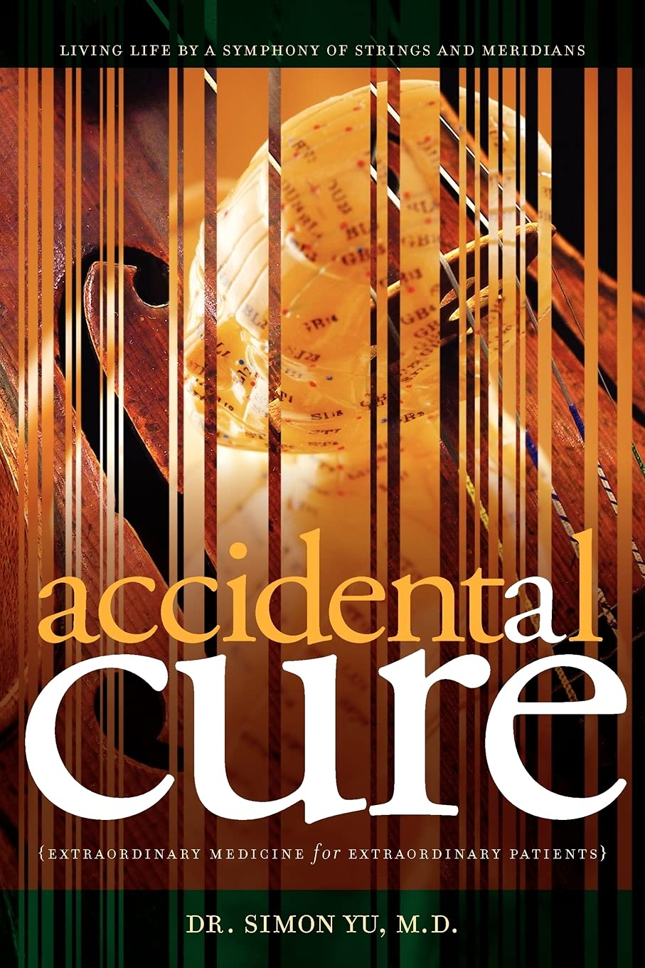 Accidental Cure: Extraordinary Medicine for Extraordinary Patients (Medical Acupuncture)