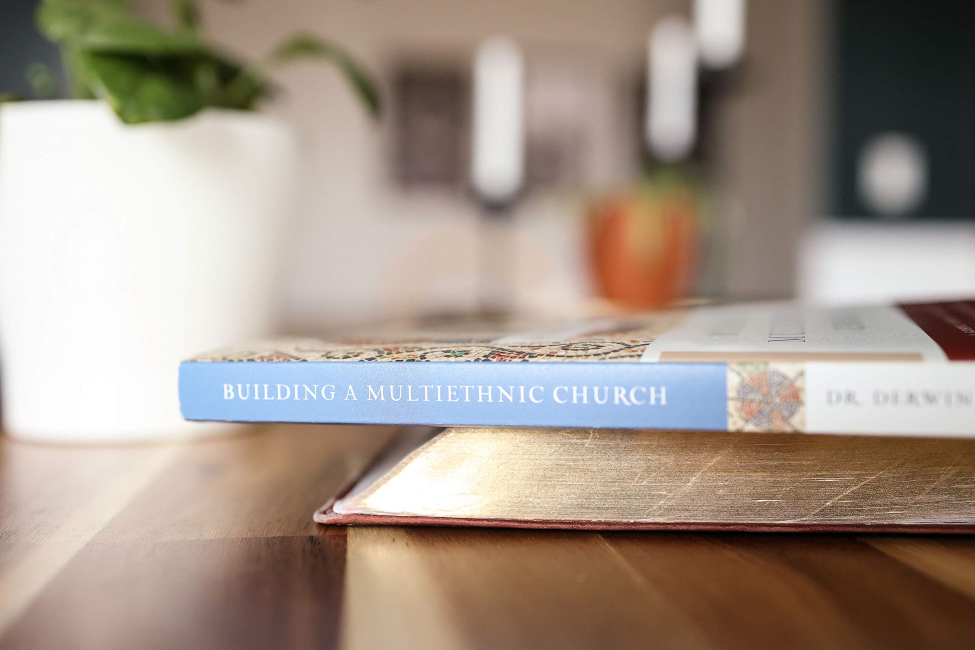 Building a Multiethnic Church: A Gospel Vision of Love, Grace, and Reconciliation in a Divided World