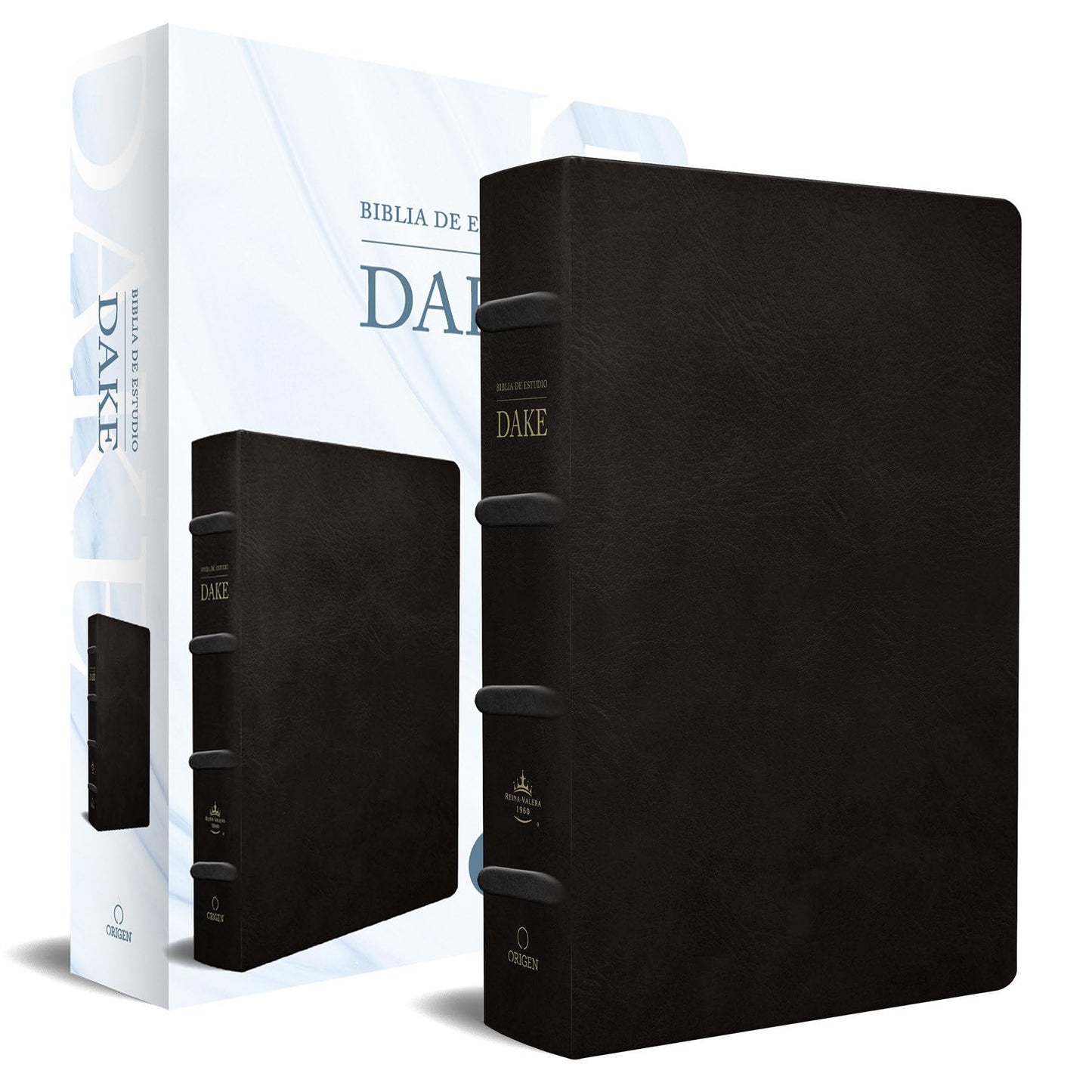 RVR 1960 Biblia de estudio Dake, tamao grande, piel negra / Spanish RVR 1960 Dake Study Bible, Large Size, Black Leather (Spanish Edition)