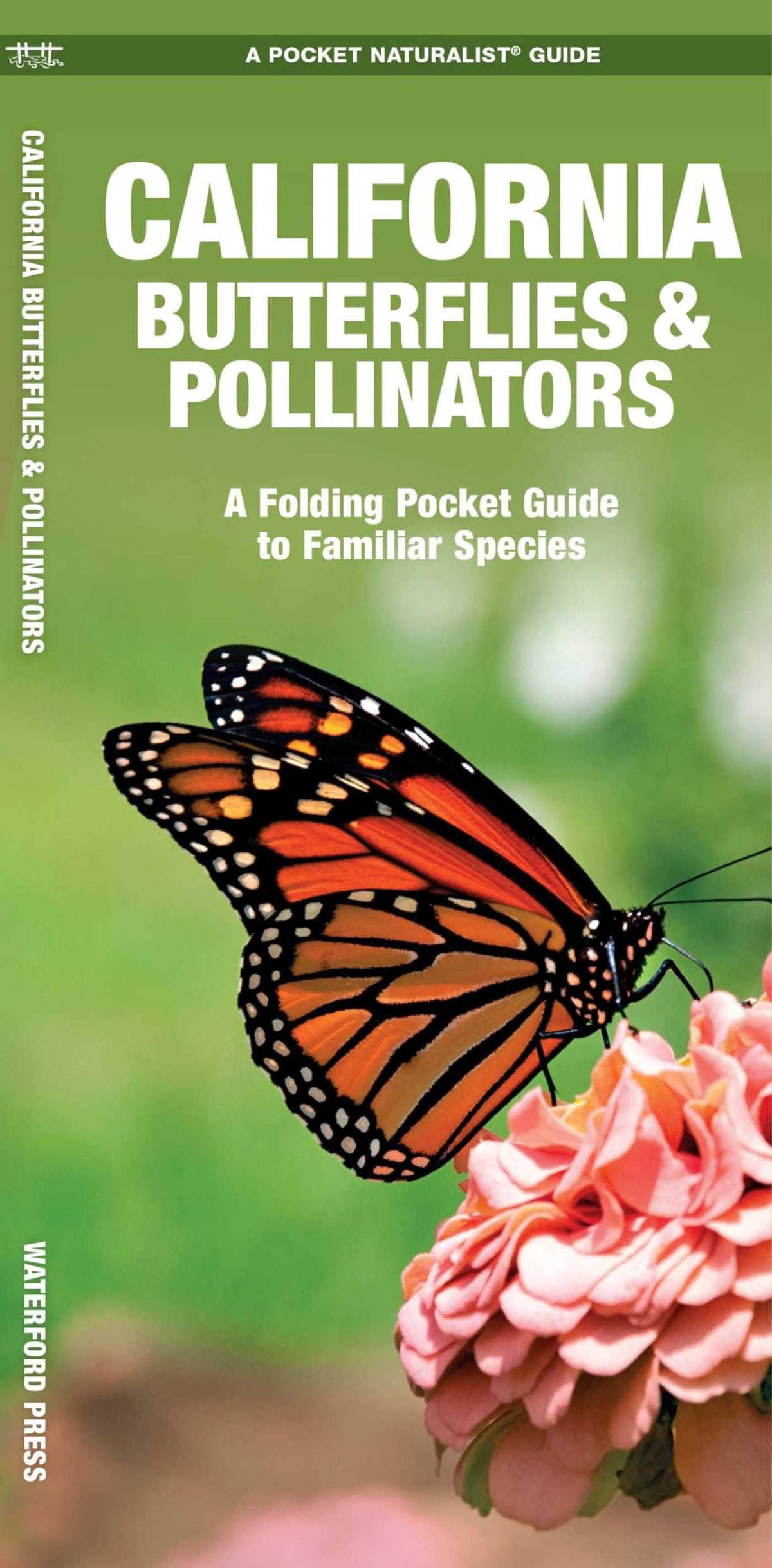 California Butterflies & Pollinators: A Folding Pocket Guide to Familiar Species (Nature Observation North America)