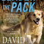 Leader of the Pack (An Andy Carpenter Novel)