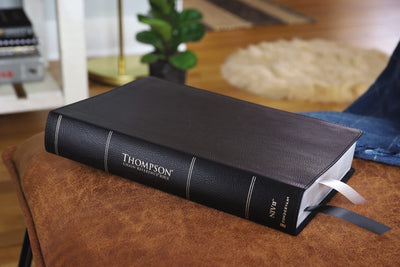 NIV, Thompson Chain-Reference Bible, Large Print, Bonded Lea