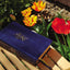 NIV, Women's Devotional Bible (By Women, for Women), Leathersoft, Navy, Comfort Print