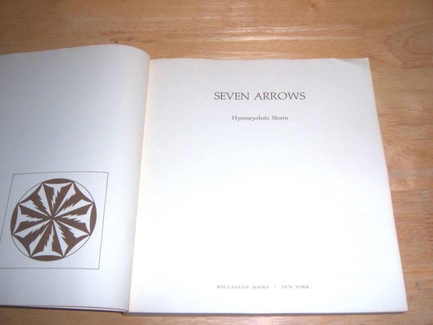 Seven Arrows by Hyemeyohsts Storm