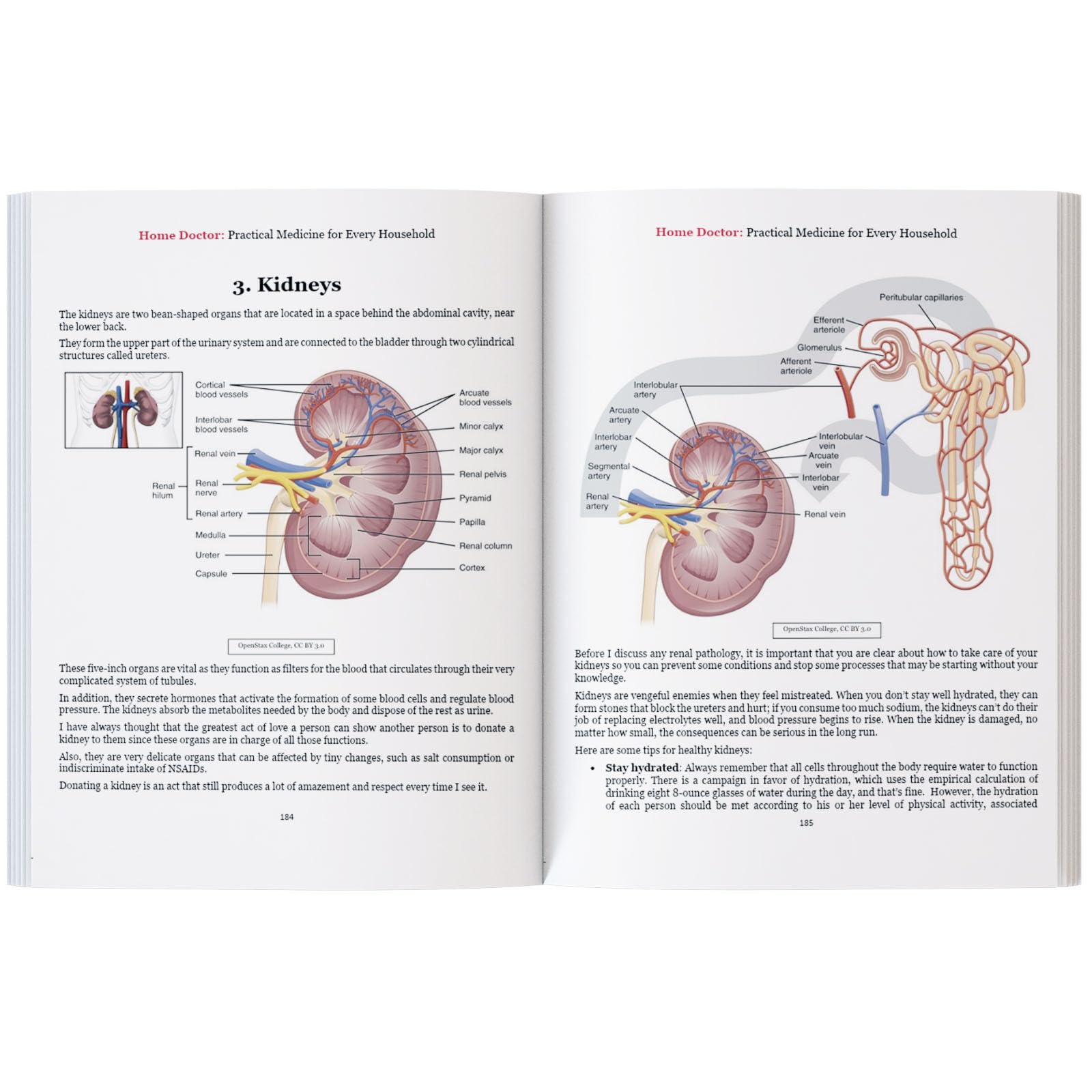 Home Doctor - Practical Medicine for Every Household