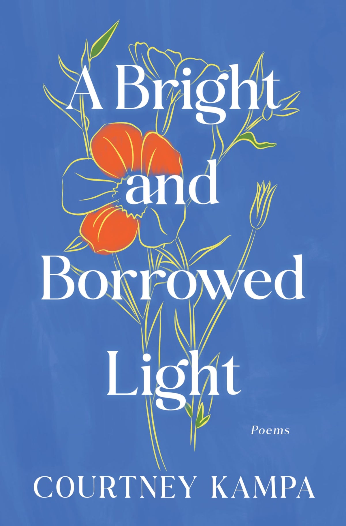 A Bright and Borrowed Light: Poems