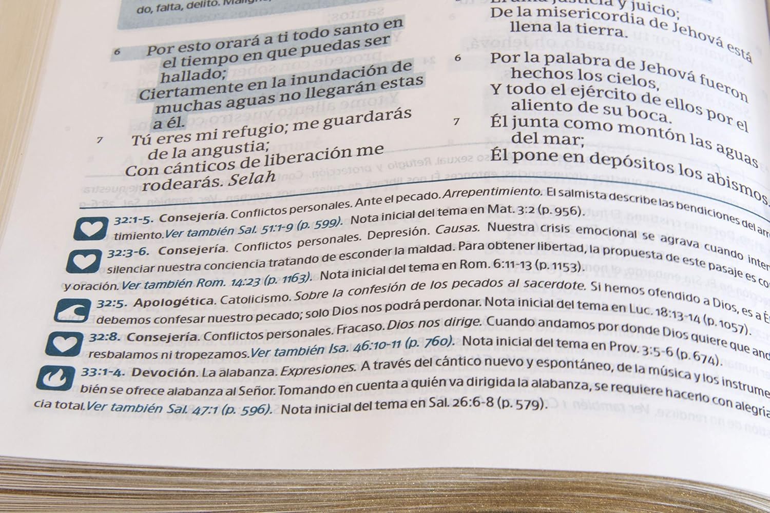 Reina Valera 1960 Biblia del Pescador, letra grande, caoba smil piel  RVR 1960 Fisher of Men Bible Hand size, Mahogany LeatherTouch (Spanish Edition)