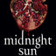 Midnight Sun (The Twilight Saga, 5)