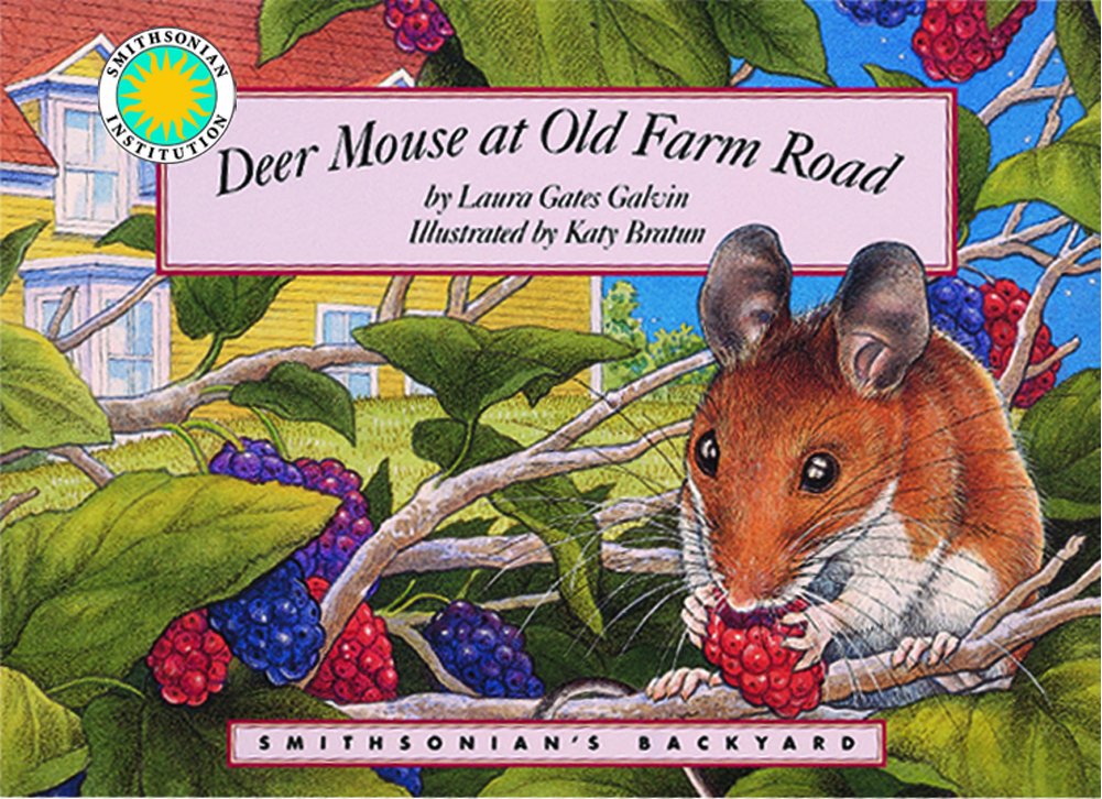 Deer Mouse at Old Farm Road - a Smithsonian's Backyard Book
