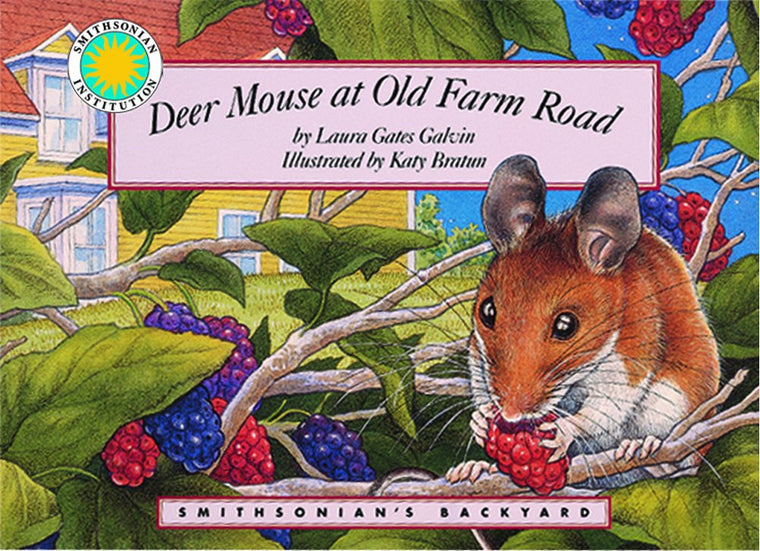 Deer Mouse at Old Farm Road - a Smithsonian's Backyard Book