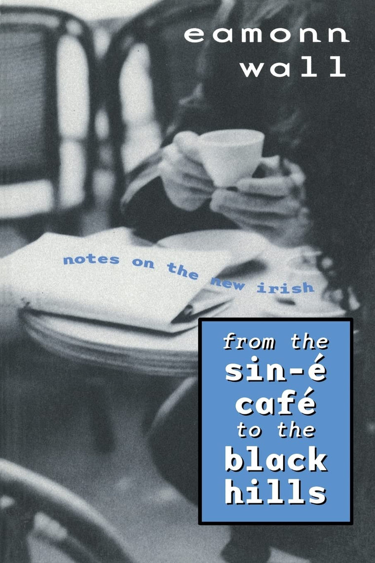 From the Sin-E Cafe to Black Hills: Notes on the New Irish