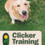 Clicker Training for Dogs: Master Basic Training, Common Cues, and Fun Tricks in 15 Minutes a Day