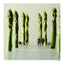 Small Wonders - Life Portrait in Miniature (NIPPAN IPS)
