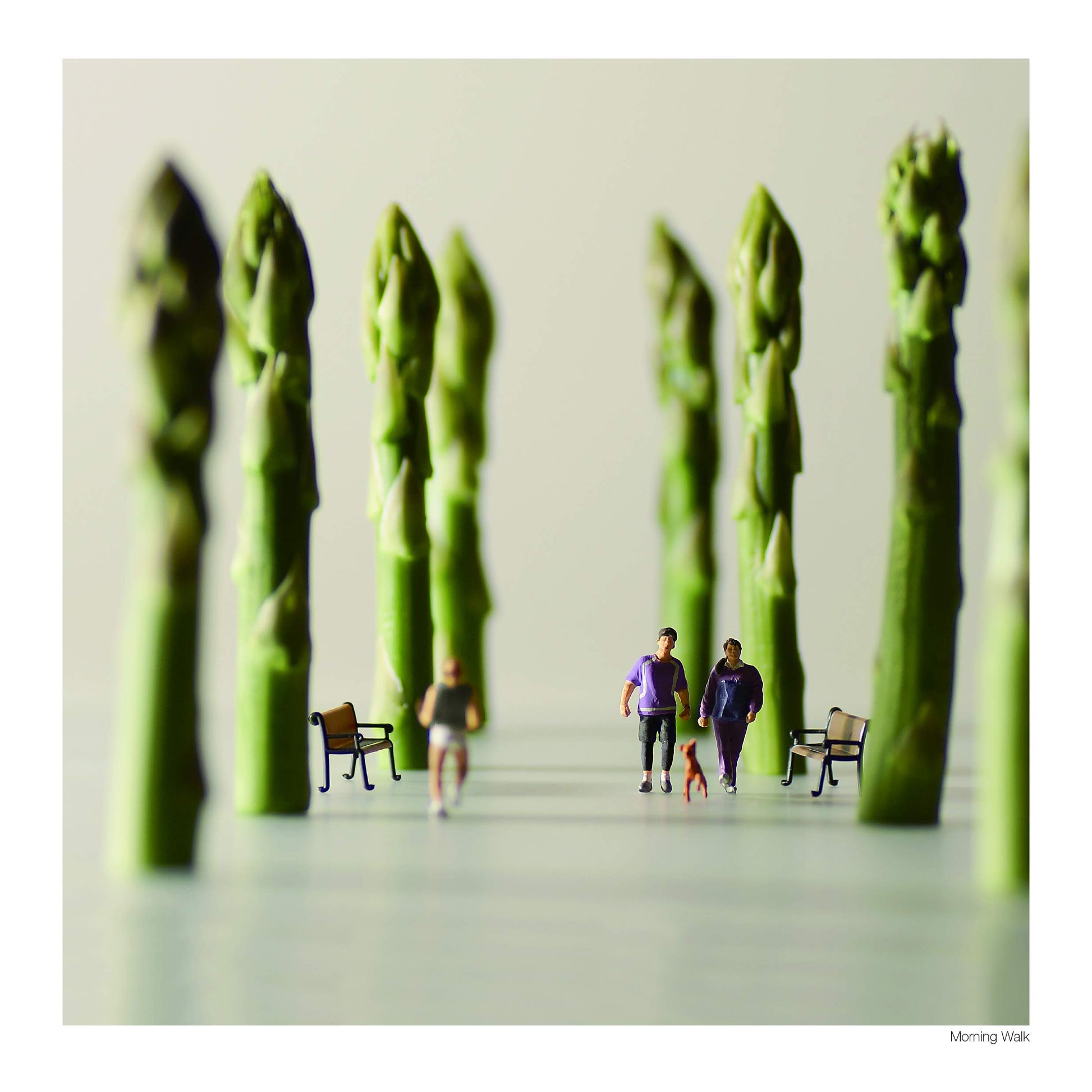 Small Wonders - Life Portrait in Miniature (NIPPAN IPS)