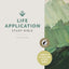 NLT Life Application Study Bible, Third Edition (Red Letter, Hardcover, Indexed) Tyndale NLT Bible with Thumb Index, Updated Study Notes and Features, Full Text New Living Translation