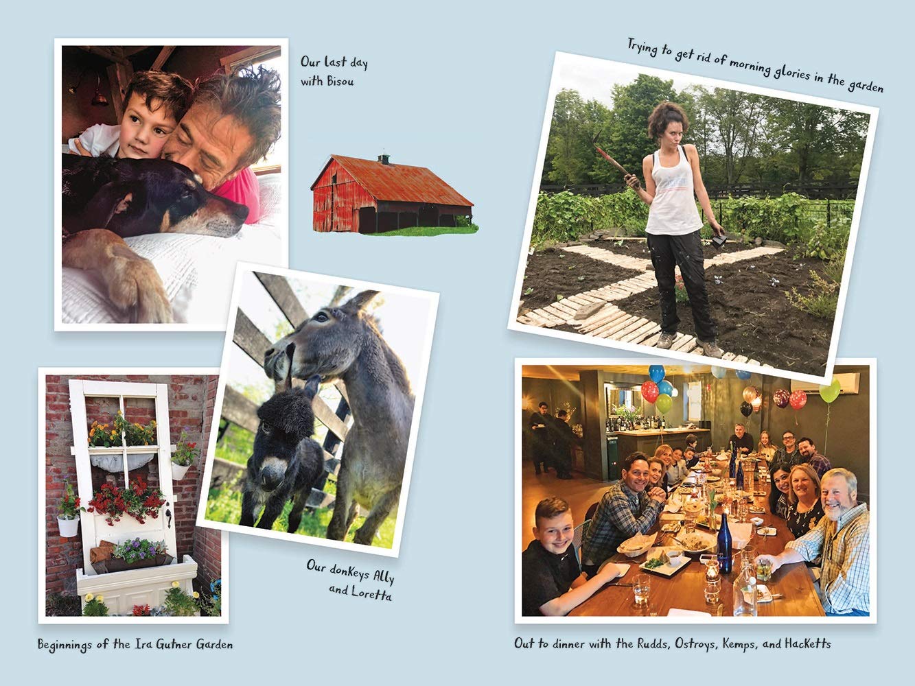 The Rural Diaries: Love, Livestock, and Big Life Lessons Dow