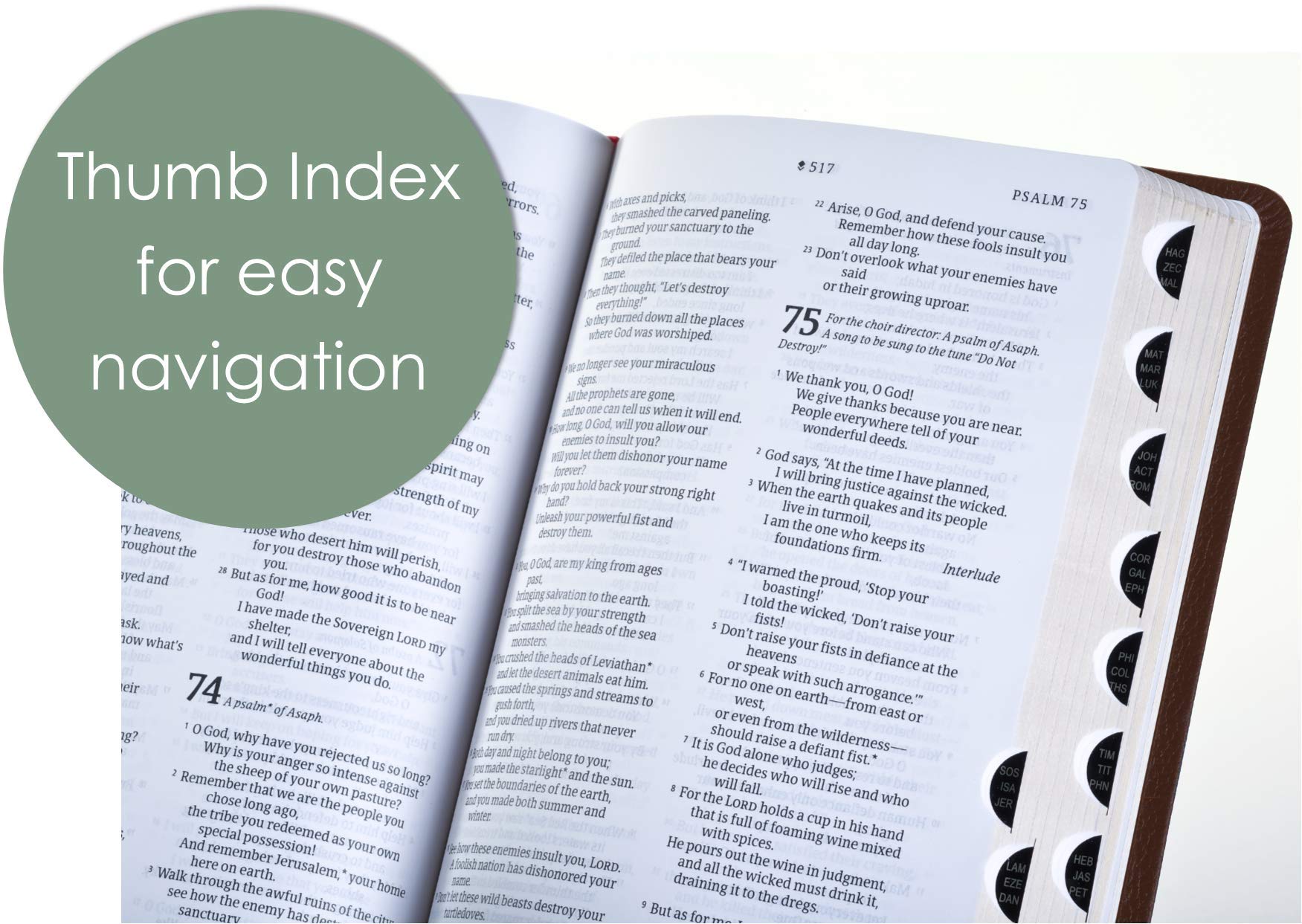 NLT Large Print Thinline Reference Bible, Filament Enabled (LeatherLike, Rustic Brown, Indexed, Red Letter): Includes Free Access to the Filament ... Notes, Devotionals, Worship Music, and Video