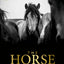 The Horse Encyclopedia (DK Pet Encyclopedias)