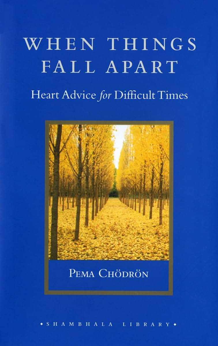 When Things Fall Apart: Heart Advice for Difficult Times