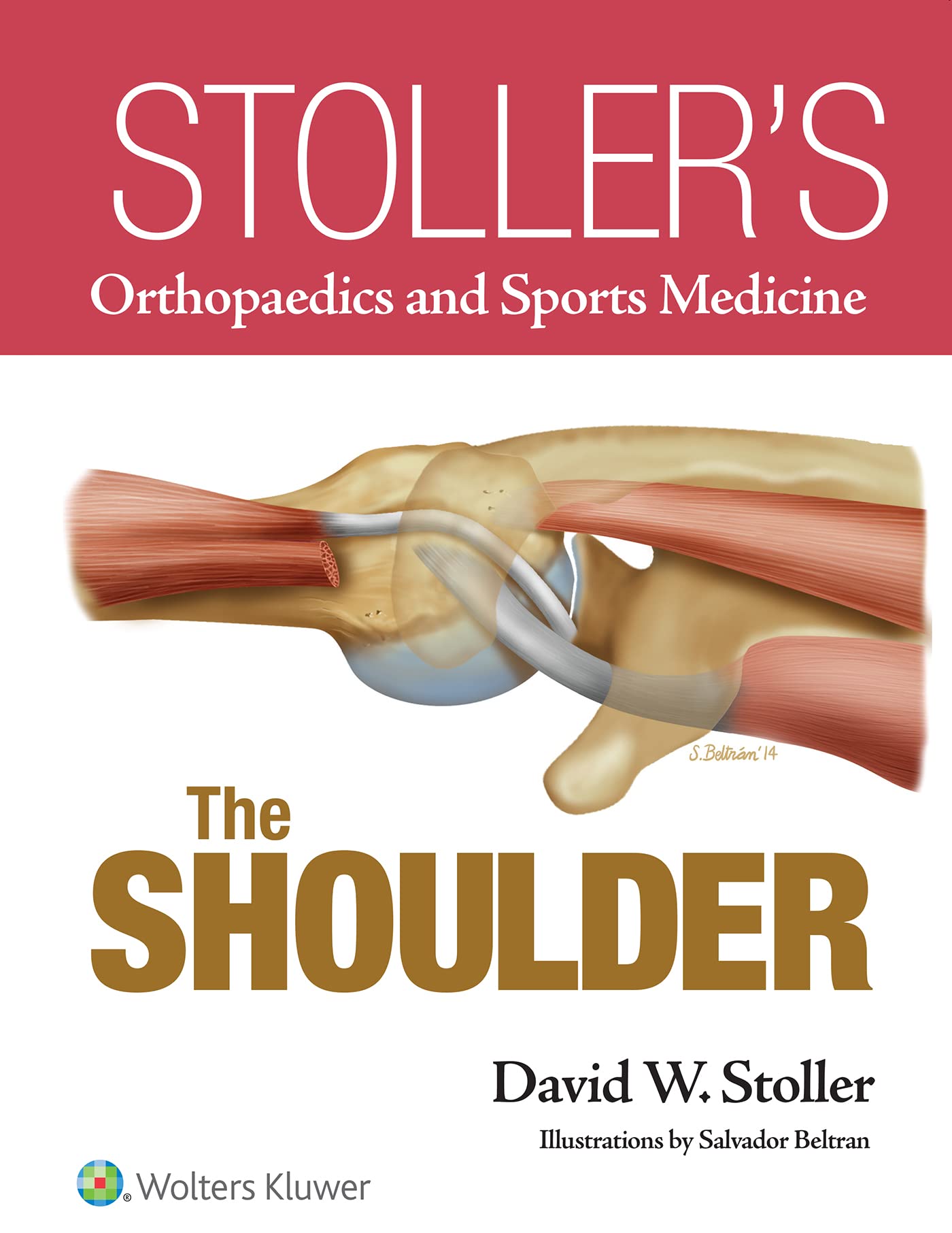 Stollers Orthopaedics and Sports Medicine: The Shoulder