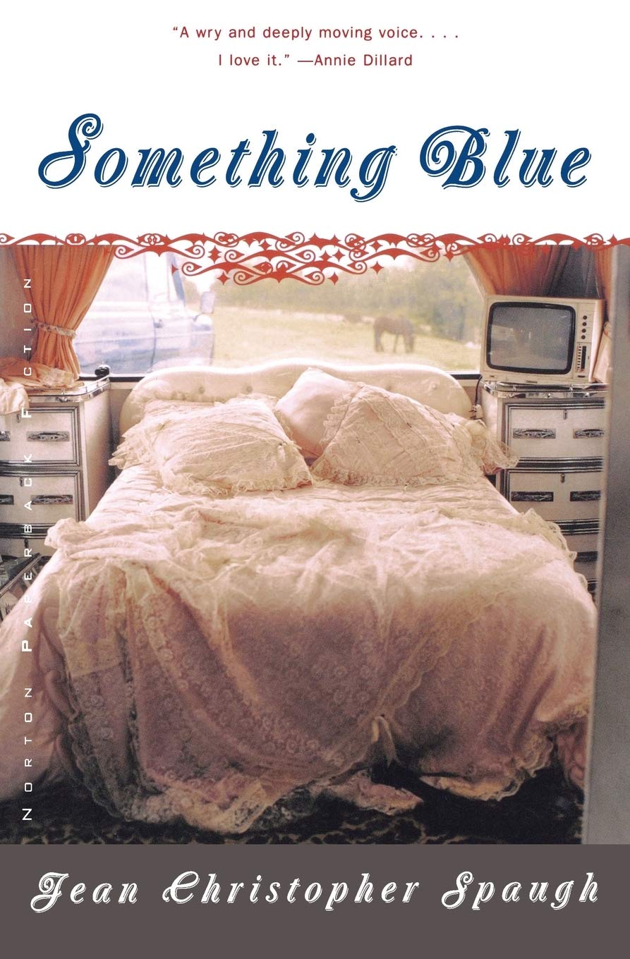 Something Blue: A Novel