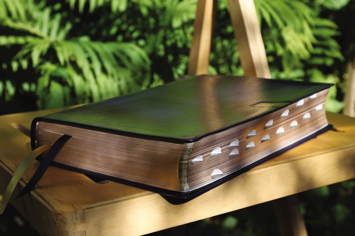 NIV, Thompson Chain-Reference Bible, Large Print, Leathersof