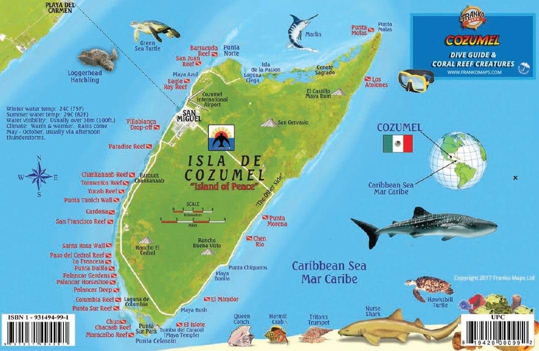 Cozumel Dive Map & Reef Creatures Guide Franko Maps Laminated Fish Card