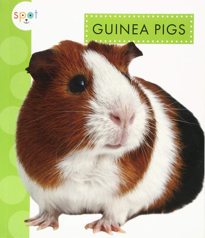 Guinea Pigs (Spot Pets)