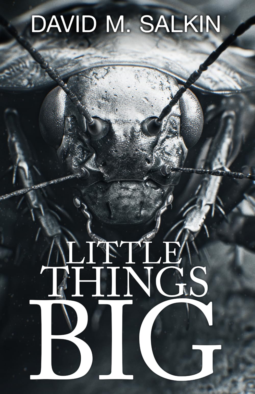 Little Things Big