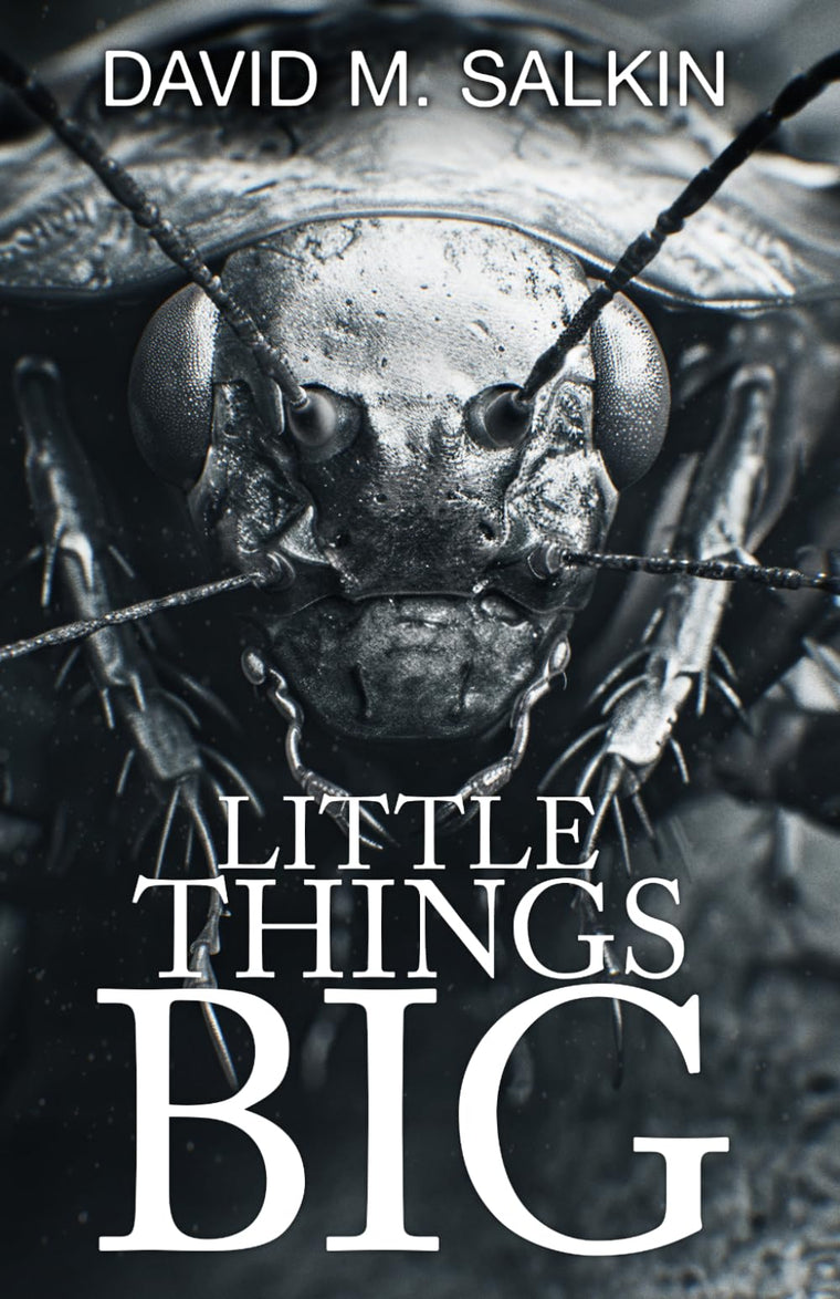 Little Things Big