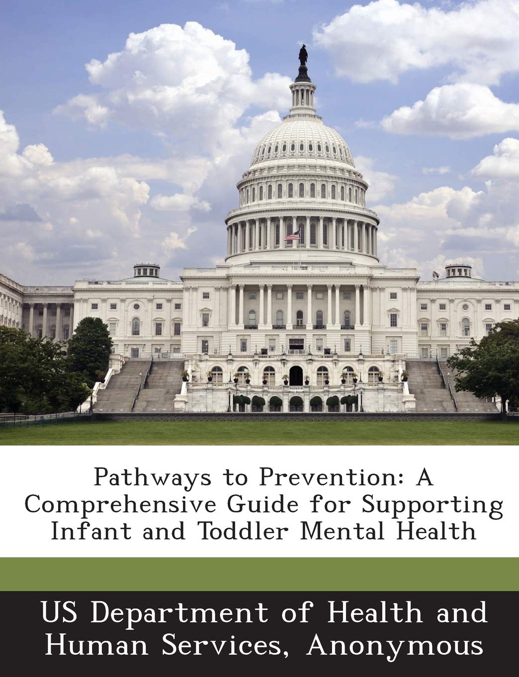 Pathways to Prevention: A Comprehensive Guide for Supporting Infant and Toddler Mental Health