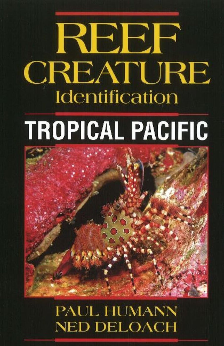 Reef Creature Identification Tropical Pacific by Paul Humann