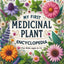 My First Medicinal Plant Encyclopedia for Kids ages 6-12: An Illustrated Journey into Healing Herbs, Natural Remedies, and Herbal Magic for Curious Minds, Budding Herbalists and Young Explorers