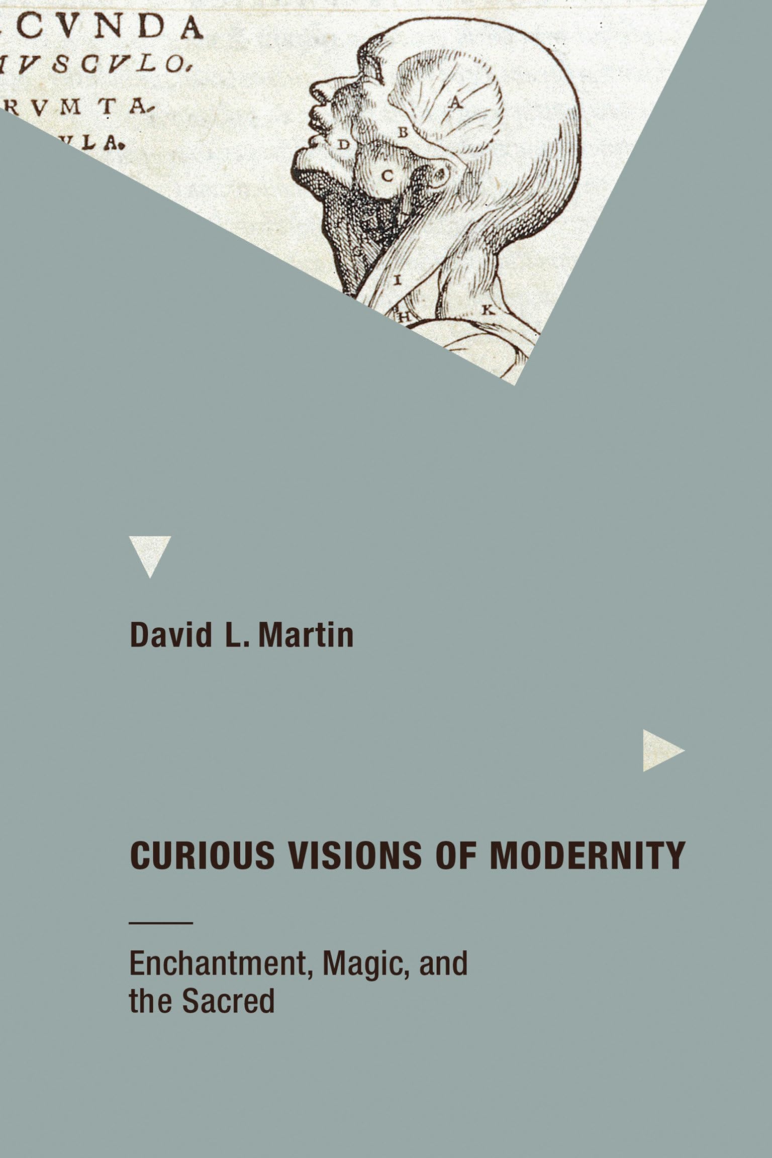 Curious Visions of Modernity: Enchantment, Magic, and the Sacred (Mit Press)