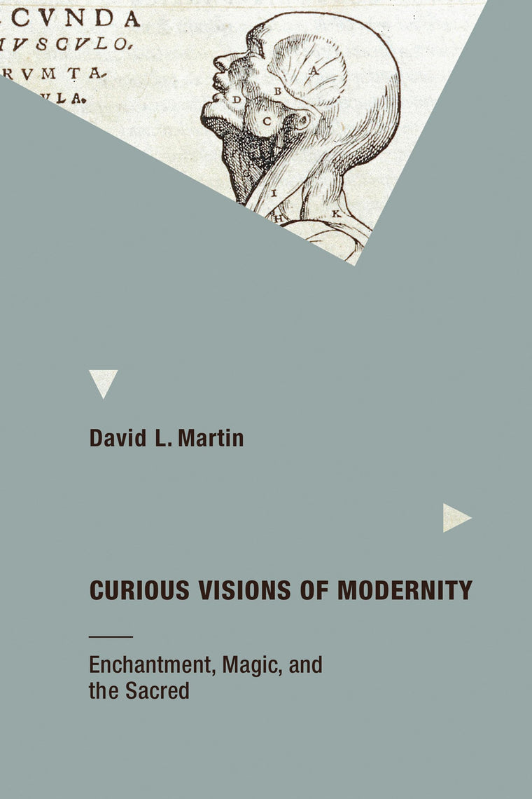 Curious Visions of Modernity: Enchantment, Magic, and the Sacred (Mit Press)