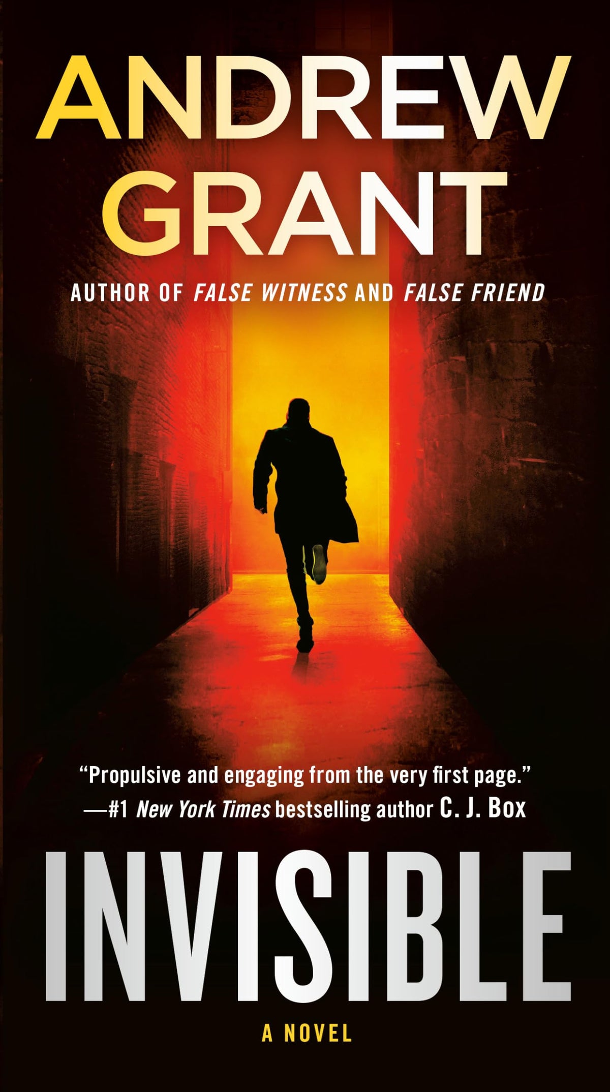 Invisible: A Novel (Paul McGrath)
