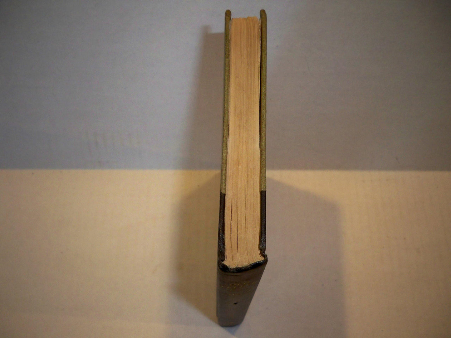 Old Yeller by Fred Gipson (Paperback)