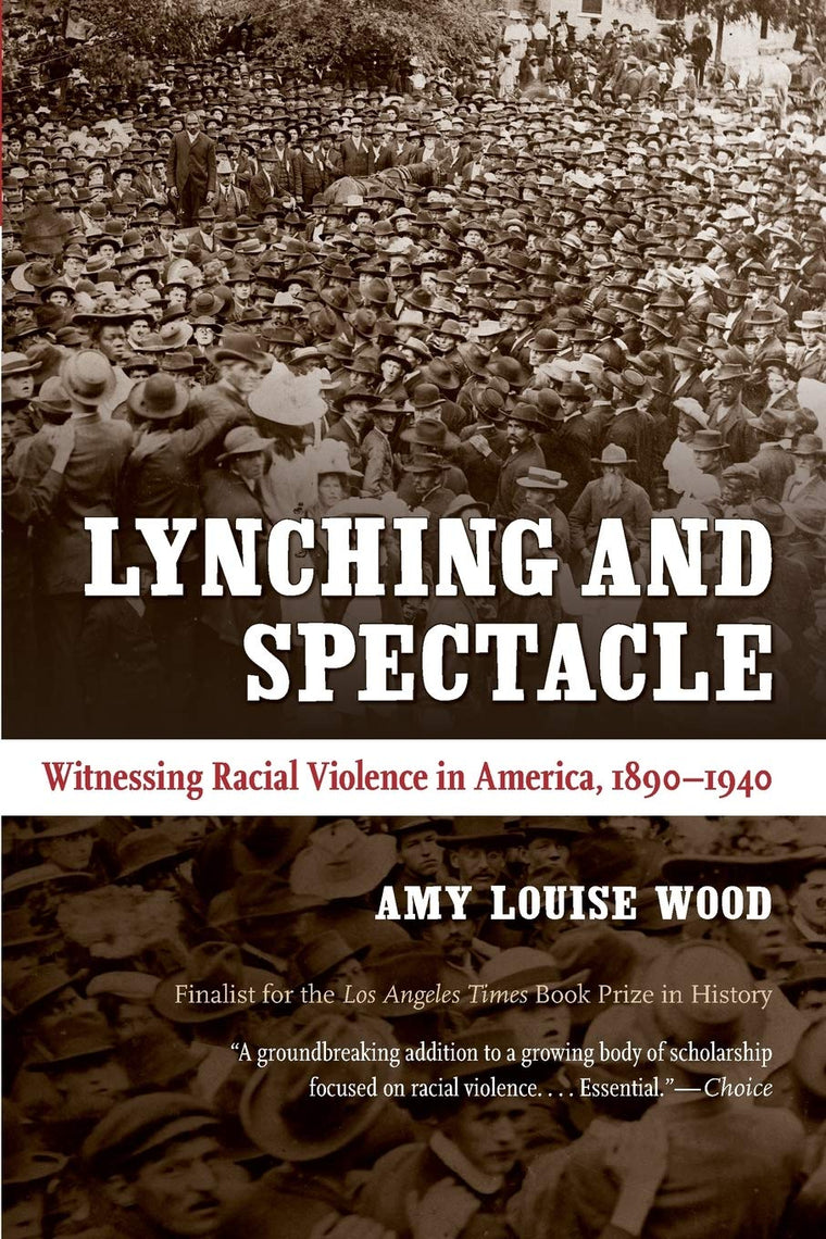 Lynching and Spectacle: Witnessing Racial Violence in America, 1890-1940 (New Directions in Southern Studies)