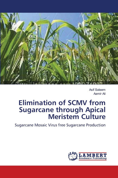 Elimination of SCMV from Sugarcane through Apical Meristem Culture: Sugarcane Mosaic Virus free Sugarcane Production