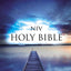 NIV, Value Outreach Bible, Paperback