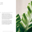 The Healing Power of Plants: The Hero Houseplants That Will Love You Back