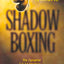 Shadow Boxing: The Dynamic 2-5-14 Strategy to Defeat the Darkness Within