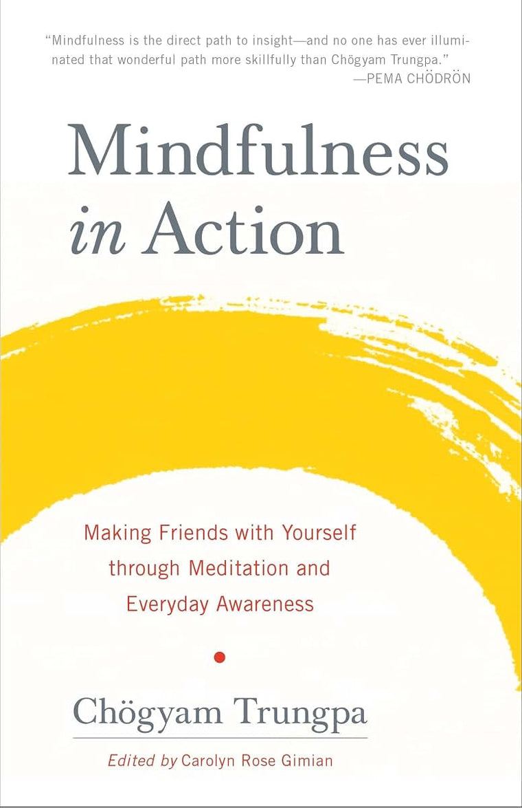 Mindfulness in Action: Making Friends with Yourself through Meditation and Everyday Awareness