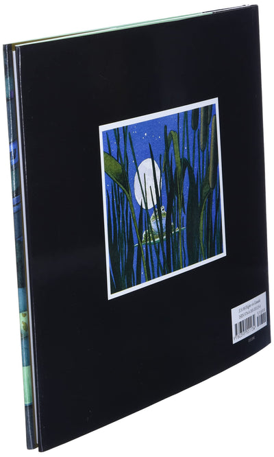 Tuesday (Caldecott Medal Book) by David Wiesner