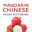 Collins Mandarin Chinese Visual Dictionary (Collins Visual Dictionaries)